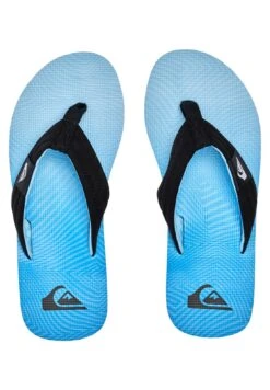 Quiksilver Molokai Layback - Sandalias De Dedo - Blue -Toni Pons Ventas 5115d8673f604564846660d4d465d71c