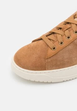 Panama Jack Game - Zapatillas - Bark -Toni Pons Ventas e679862846f84de8832c37cab9e9bd87